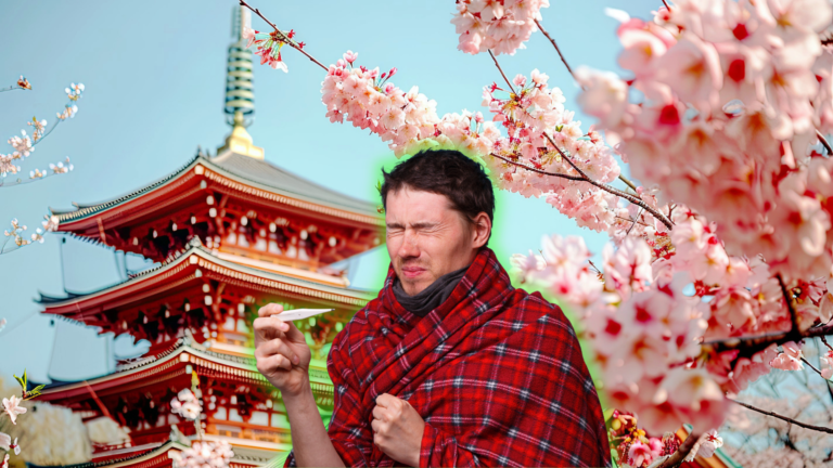 Man wrapped in a red plaid blanket holding a thermometer, wincing, in front of a red pagoda and cherry blossoms